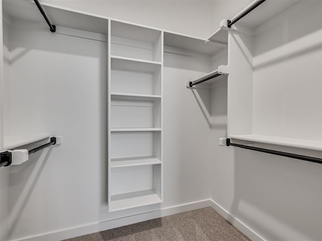77 Orchid Ct, Piedmont, OK 73078 - walk in closet with carpet floors