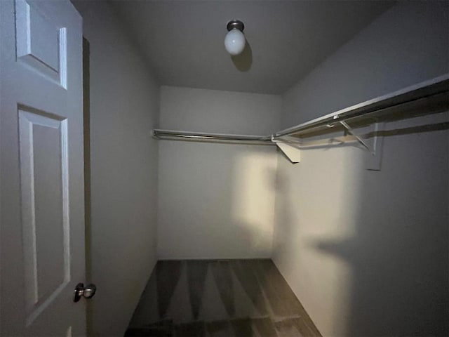 walk in closet featuring wood finished floors