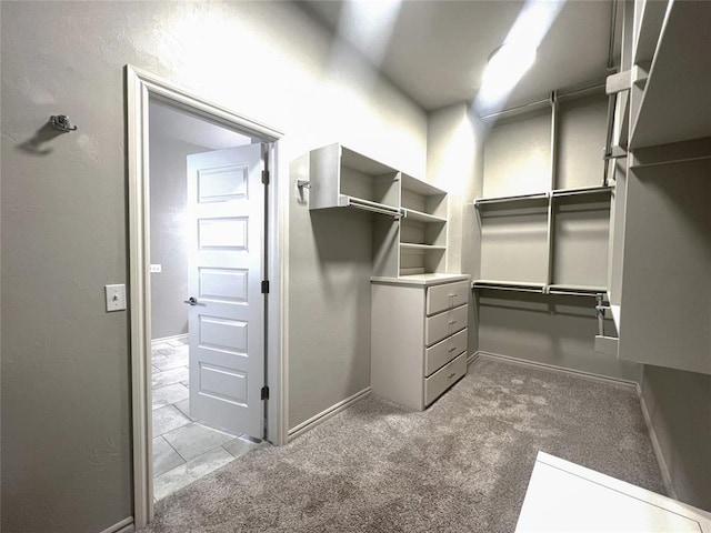 spacious closet featuring carpet