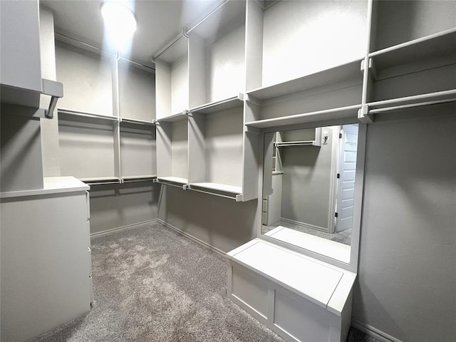 spacious closet featuring carpet floors