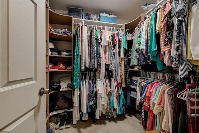 9122 Ns 3540th Rd, Prague, OK 74864 - walk in closet with carpet