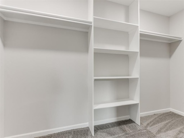 3100 NE 17th St, Oklahoma City, OK 73121 - walk in closet with carpet flooring