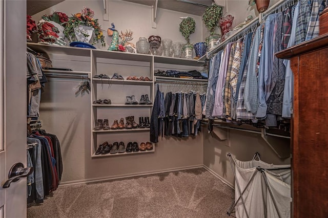8301 NW 146th St, Oklahoma City, OK 73142 - spacious closet with carpet flooring