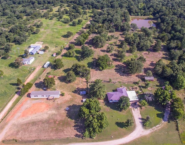 drone / aerial view