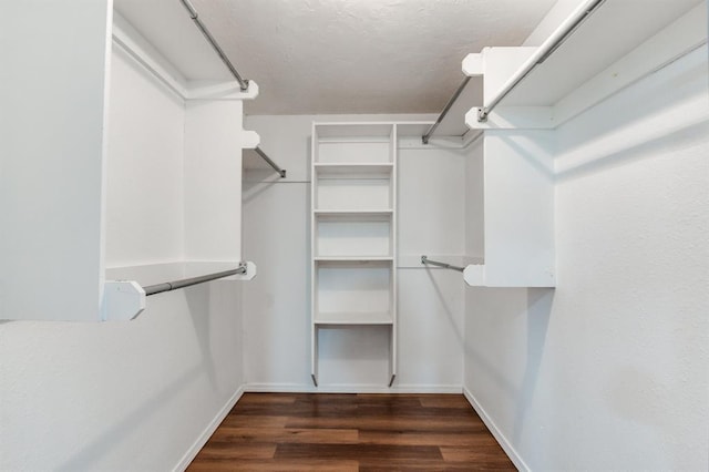 spacious closet featuring wood finished floors