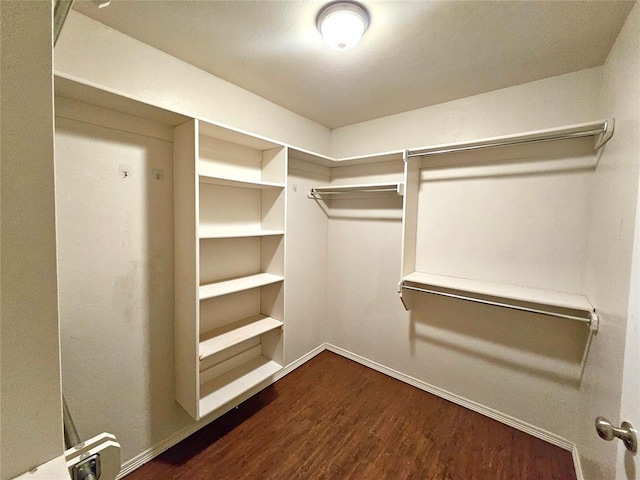 spacious closet with dark wood-type flooring