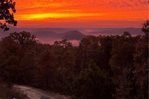 357 Little Creek Ln, Broken Bow, OK 74728 - exterior space featuring a forest view