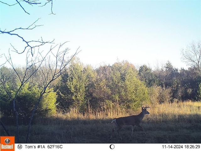 E 780 Road, Cushing, OK 74023 - photo 19