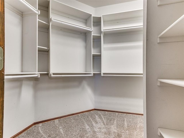 407 Heather Ln, Tuttle, OK 73089 - spacious closet with carpet floors
