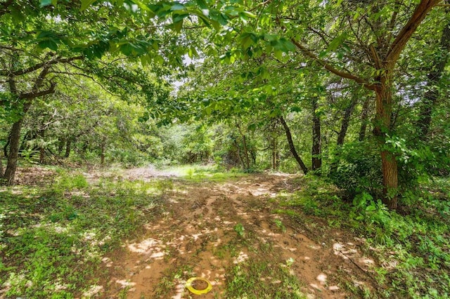 3206 Oakbriar Dr, Choctaw, OK 73020 - view of tree filled area