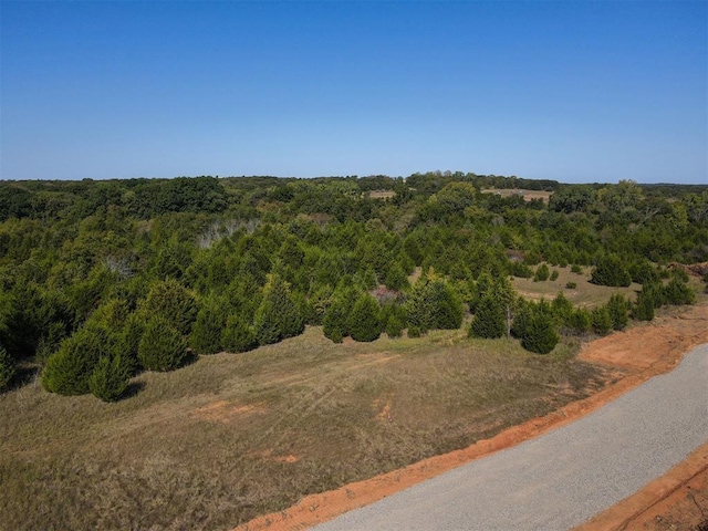 E 980 Road, Prague, OK 74864 - photo 10