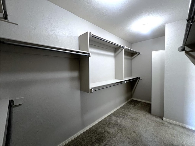 713 NW 143rd St, Edmond, OK 73013 - walk in closet with carpet flooring