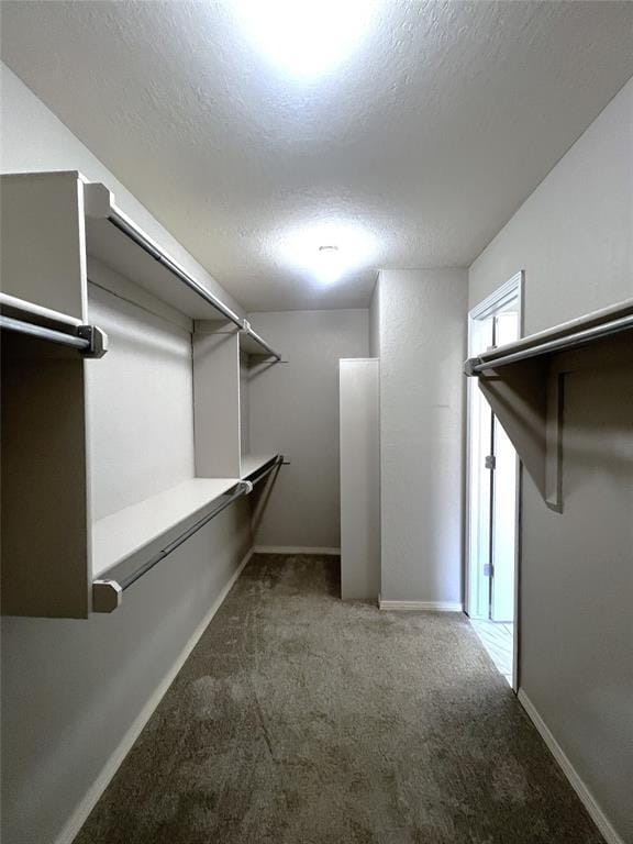 713 NW 143rd St, Edmond, OK 73013 - walk in closet featuring carpet floors