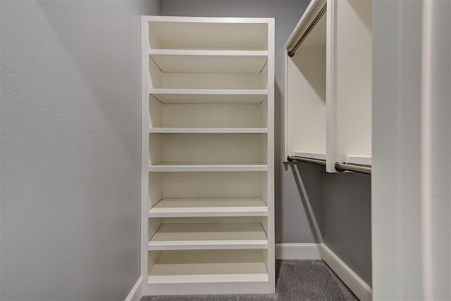 3109 Hickory Sign Post Rd Unit 33B, Oklahoma City, OK 73116 - view of spacious closet