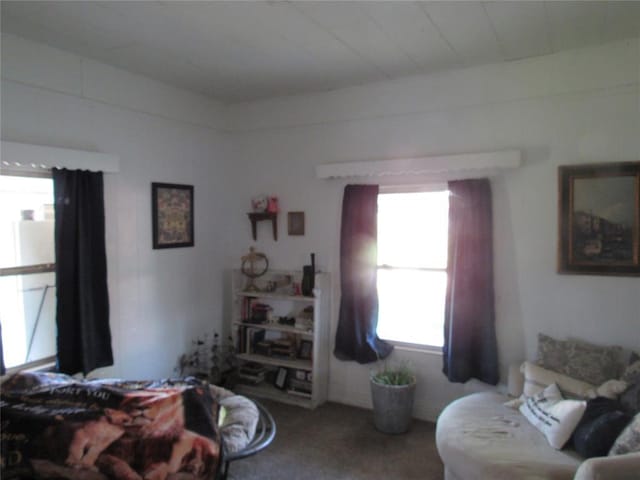 110 S Cherry, Paoli, OK 73074 - bedroom featuring carpet floors