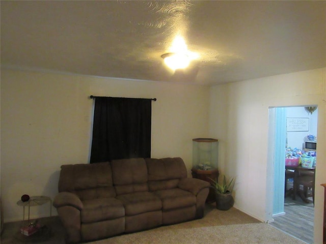 110 S Cherry, Paoli, OK 73074 - living area with carpet