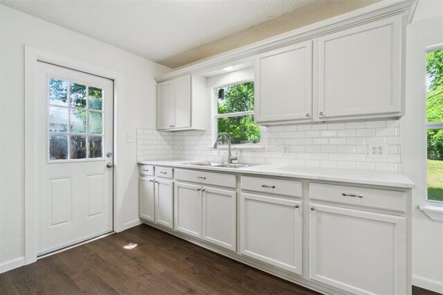 2233 SW 40th St, Oklahoma City, OK 73119 - kitchen featuring a sink, dark wood finished floors, backsplash, light countertops, and plenty of natural light