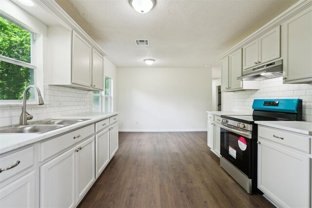 2233 SW 40th St, Oklahoma City, OK 73119 - kitchen with stainless steel electric stove, under cabinet range hood, a sink, baseboards, and light countertops