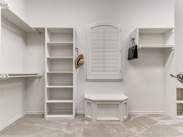 walk in closet with carpet floors