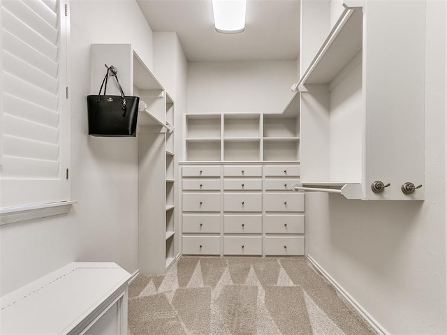 spacious closet with light colored carpet