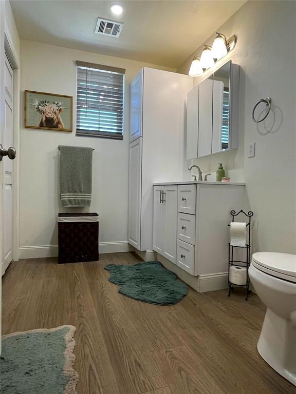 bathroom featuring vanity, visible vents, baseboards, and wood finished floors