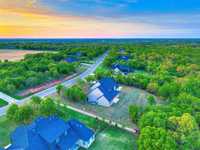 drone / aerial view
