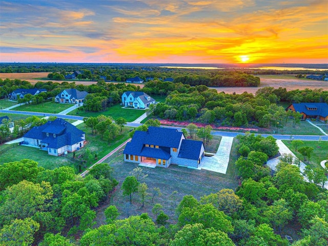 bird's eye view