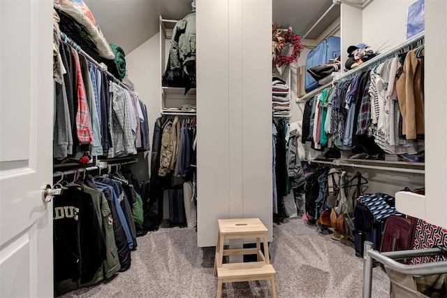 walk in closet featuring carpet floors