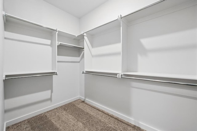 spacious closet with carpet