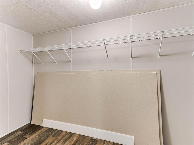 walk in closet featuring dark wood-style floors