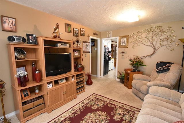 living area featuring light carpet, a textured ceiling, and baseboards