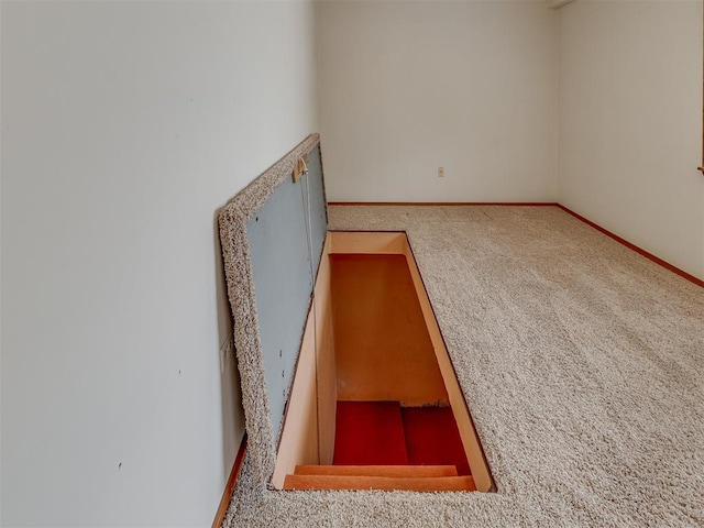 view of entry to storm shelter