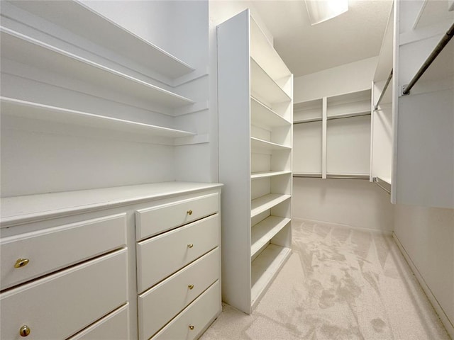 4000 Harrogate Dr, Norman, OK 73072 - walk in closet featuring light colored carpet