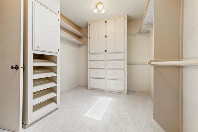 57 Serenada Ln, Shawnee, OK 74804 - walk in closet with light colored carpet