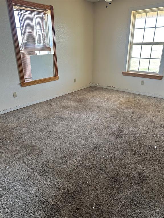unfurnished room featuring baseboards, carpet floors, and a textured wall