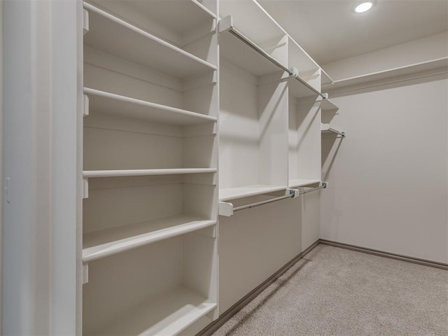 1209 Jozie Way, Tuttle, OK 73089 - walk in closet with carpet flooring