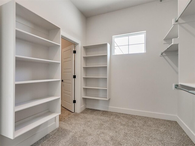 spacious closet with carpet