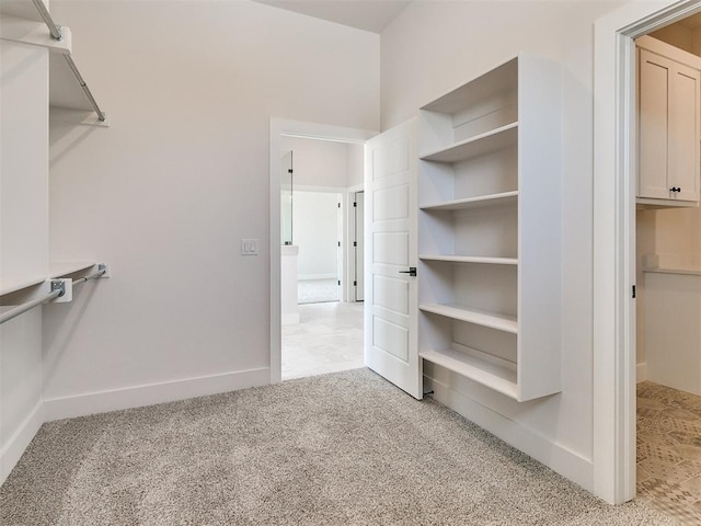 spacious closet featuring light colored carpet