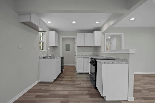 kitchen featuring electric panel, baseboards, a sink, and black appliances