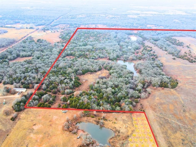 bird's eye view with a water view and a rural view