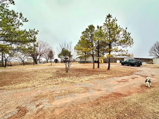 view of yard featuring driveway
