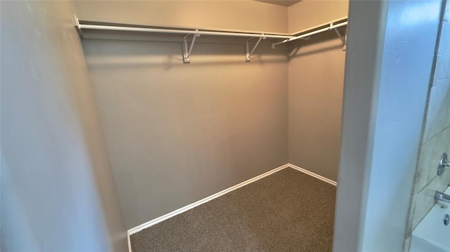 spacious closet featuring carpet flooring