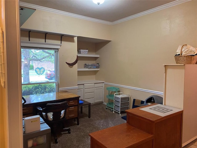 office with dark colored carpet and crown molding
