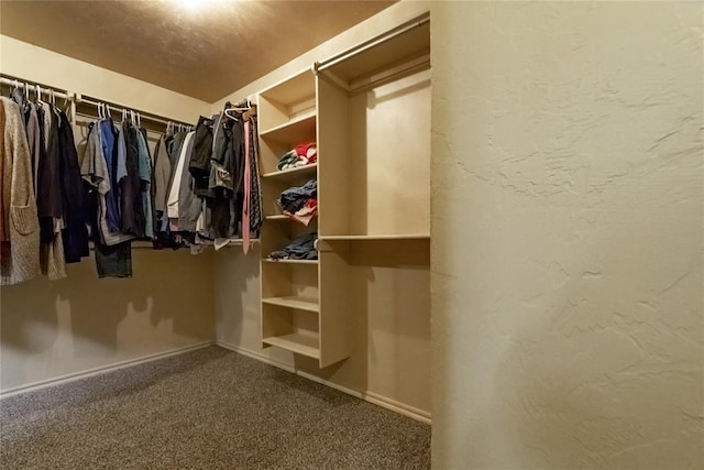 walk in closet featuring carpet