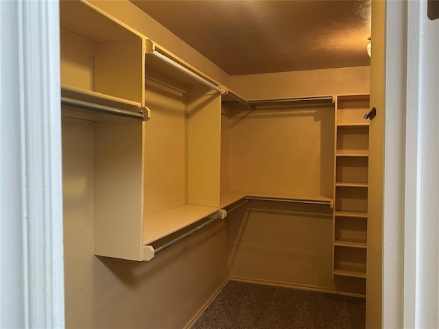 17413 Platinum Ln, Edmond, OK 73012 - spacious closet featuring carpet floors