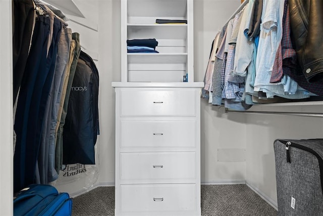 4113 Annalane Dr, Norman, OK 73072 - walk in closet featuring carpet flooring