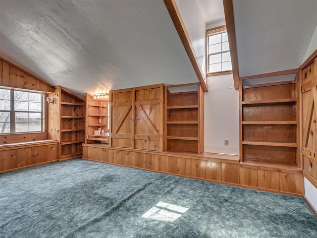 27704 S County Line Ave, Blanchard, OK 73010 - unfurnished living room featuring lofted ceiling, wooden walls, and carpet flooring