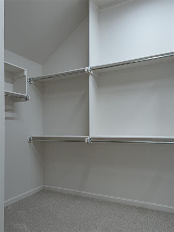 walk in closet featuring lofted ceiling and carpet flooring
