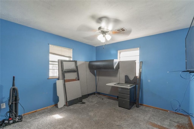 103 W Thompson Dr, Kingfisher, OK 73750 - carpeted bedroom with visible vents, multiple windows, baseboards, and a textured ceiling