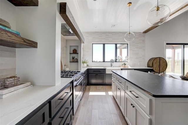 2223 Wintercreek Blvd, Blanchard, OK 73010 - kitchen with stainless steel range, plenty of natural light, light wood-style floors, and tasteful backsplash